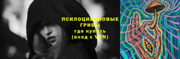 apvp Карпинск