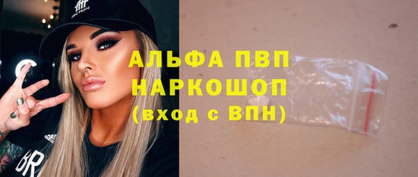 apvp Карпинск
