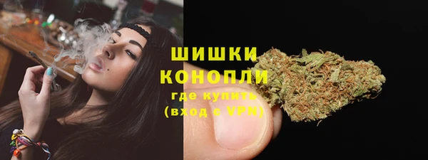 apvp Карпинск