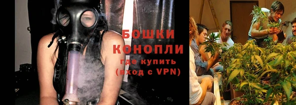 spice Касимов